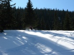 Zkladn skialp kurz, Prma parta a skvl poas a nedln praanov orgie.... - fotografie 173