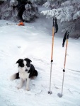 KURZ SKIALPINISMU BYL FAJN, A to nejen dky poas, ale hlavn dky skvl part stedokolk a pak skutench zjemc o tento ndhern sport. - fotografie 20