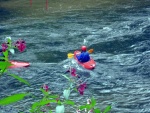 KAJAKOVÁ ŠKOLA JIZERA - je i pro děti, Počasí bylo dost drsný, celou sobotu propršelo, ale děcka, jako by to ani nevnímala. V neděli bylo mrtě vody jak na Jizeře tak na Kamenici, proto jsme přejeli na nádherné Labíčko. Maximální úspěch pa - fotografie 72