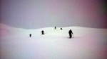 SKIALPINISTICKÉ ELDORADO1.-3.2.2013 - tentokrát spíš sněžná apokalypsa, Skvělá parta na báječné akci, kde sice nebylo moc vidět a sněhu napadlo 70 cm za dva dny, parádně jsme si to všichni užili. - fotografie 35