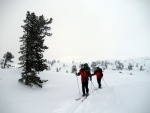 SKIALPY DACHSTEIN místo Silvretty - 2013, Prognóza počasí na Silvrettu byla tragická, a tak jsme vybrali náhradní řešení, které slibovalo dobré počasí. A POVEDLO SE! Díky Alponoši, bylo to úžasné! A to jak díky týmu, tak super chalupě a musím - fotografie 46