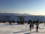 KRKONOSK HAUTE ROUTE PES SN̎KU, Druh leton Haute Route Krkonoe nadchla astnky nejen super poasm, ale hlavn ndhernou prodou, gurmntinou, horkou lzn ve finsk kdi a skvlm duchem v part. - fotografie 8