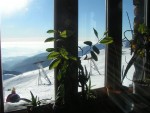 SKIALPY: To nejlep z Nzkch Tater, Super poas a vynikajc snhov podmnky, navc dobr lavinov situace, take kdo nejel, ten zavhal! - fotografie 99